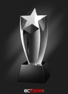  Trofeu de cristal personalizat stea TC07